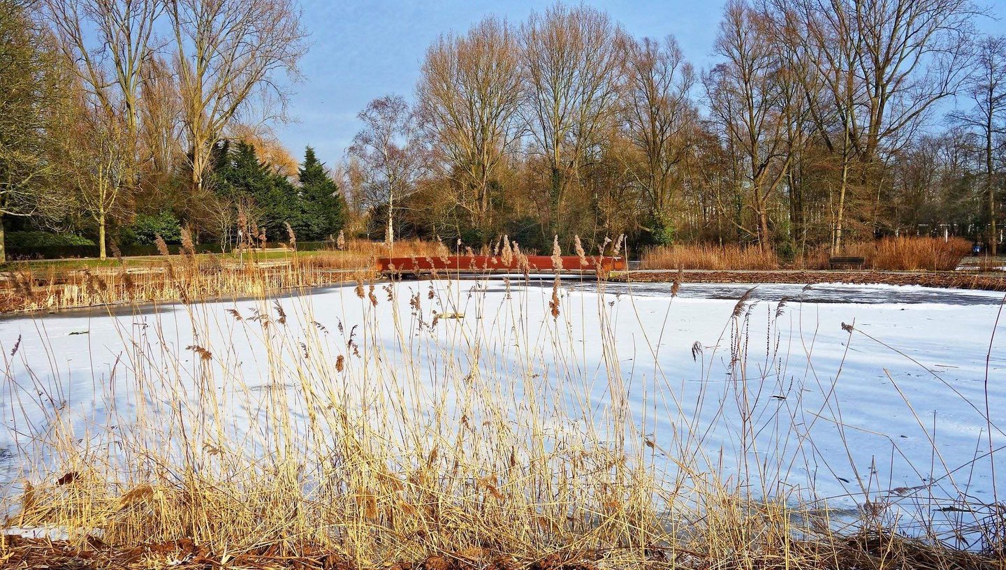 How to winterize a pool